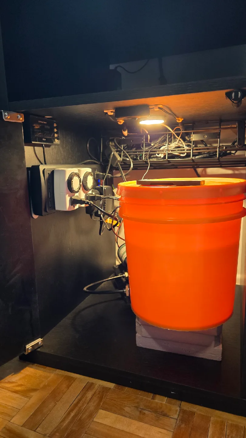 Complete Terrarium / Paludarium image indicator(7)