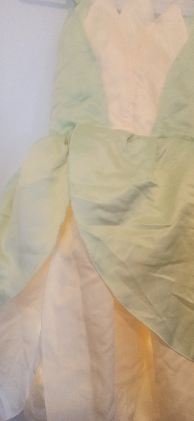 Tiana Princess and the Frog Dress.10-11yrs - photo 3