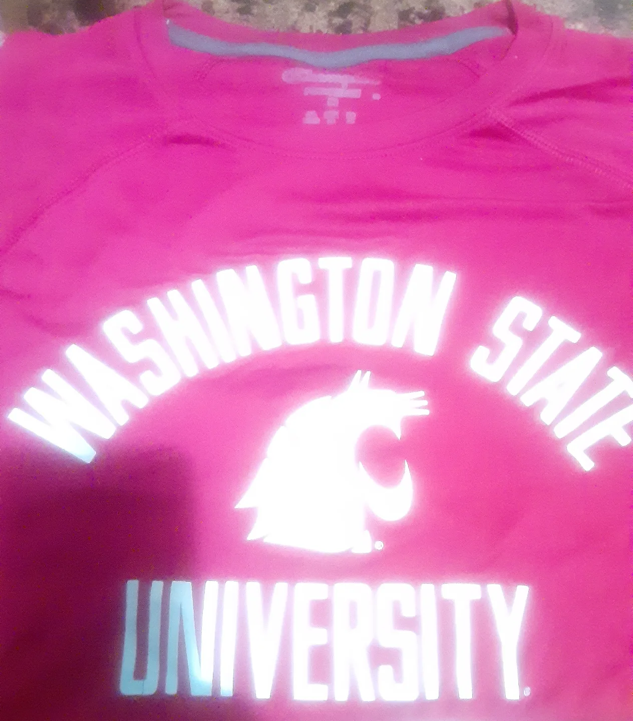 Champion Washington State University T-Shirt - Size M image indicator(3)
