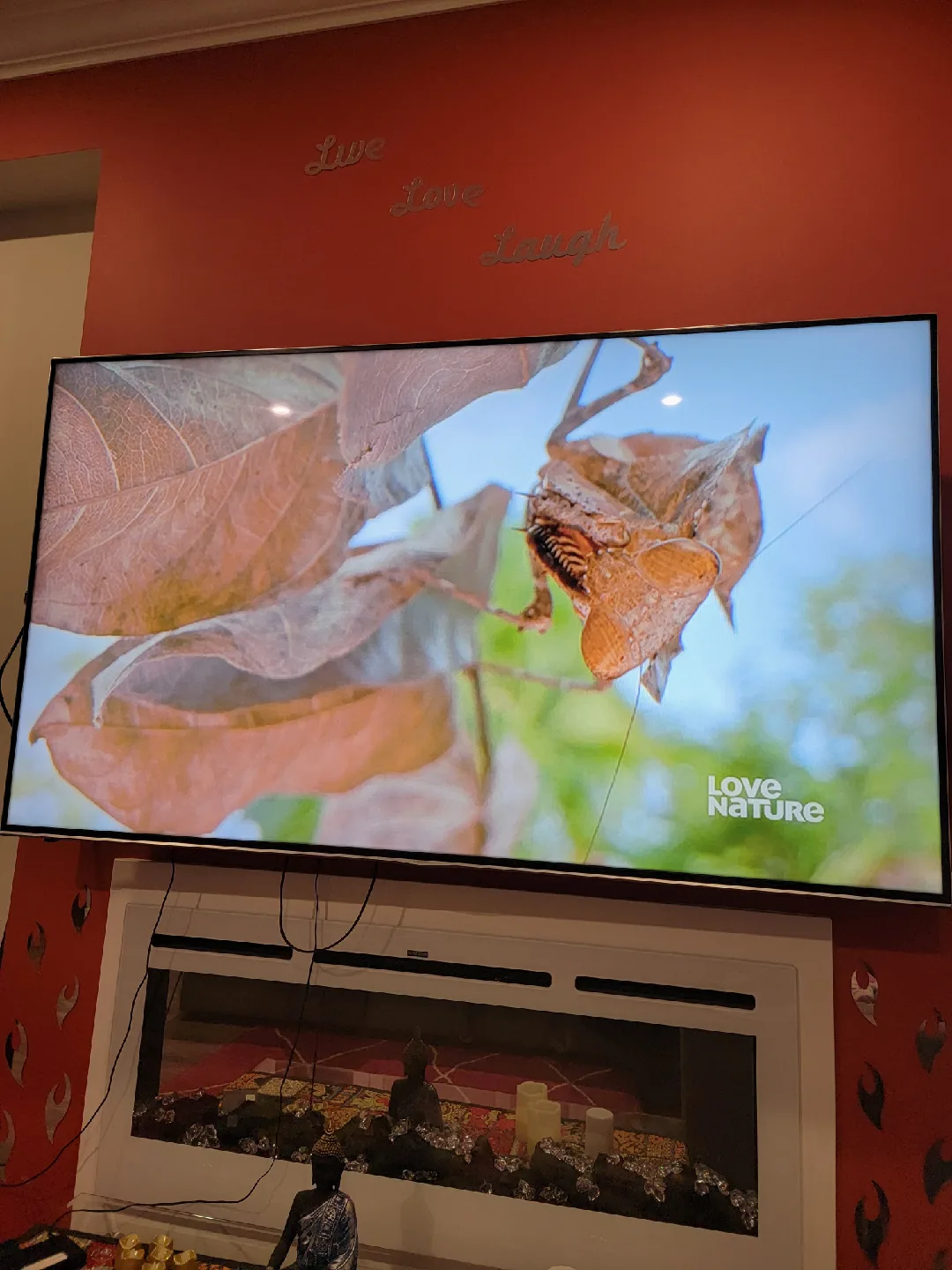 Sharp LC-75N8000U 75" LED LCD TV image indicator(2)