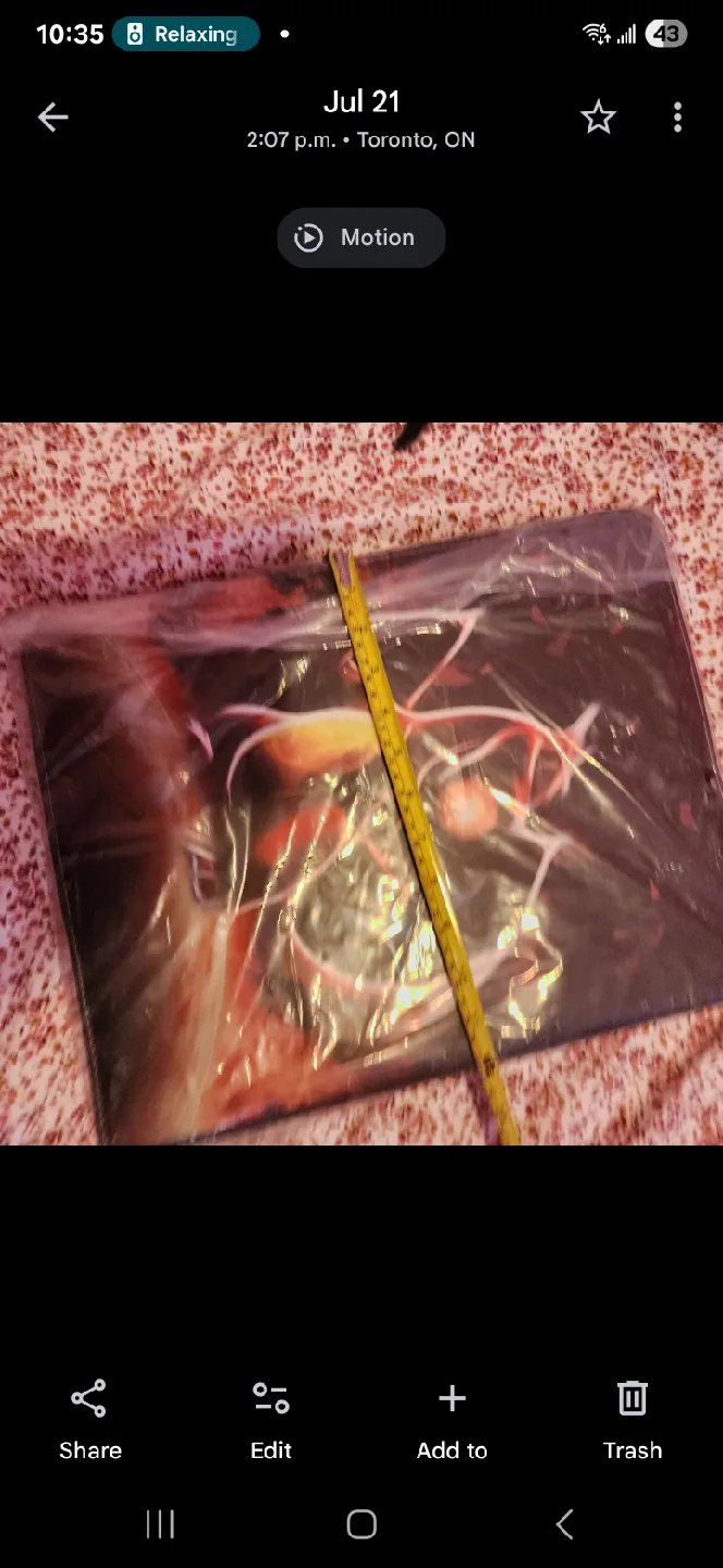 New Pokemon Playmat Sealed image indicator(3)