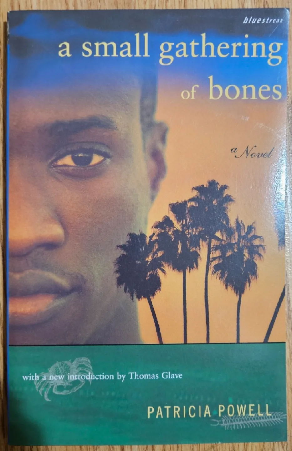 Five Novels by Canadian Authors image indicator(4)