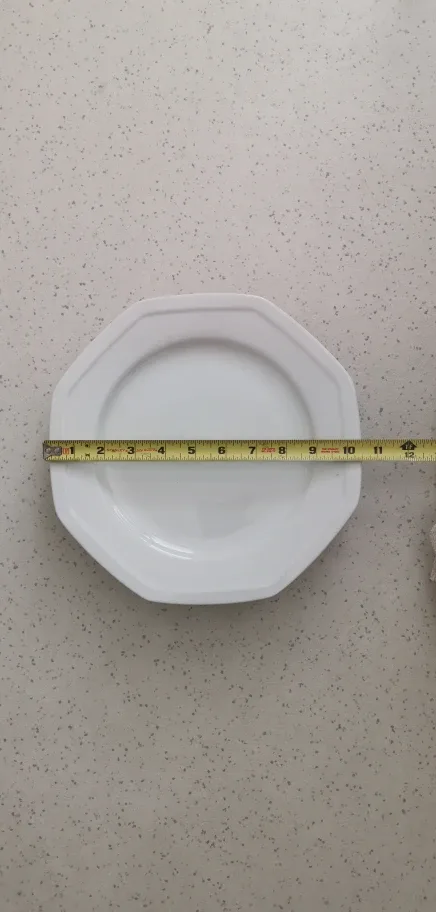 Savoir Vivre White Octagon Dinner Plates - Set of 12 image indicator(4)