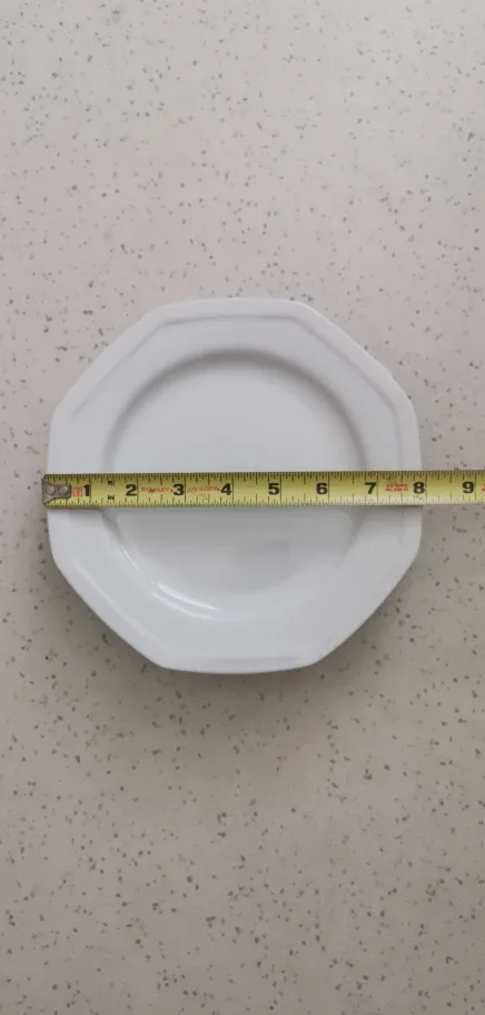 Savoir Vivre White Octagon Dinner Plates - Set of 12 image indicator(5)