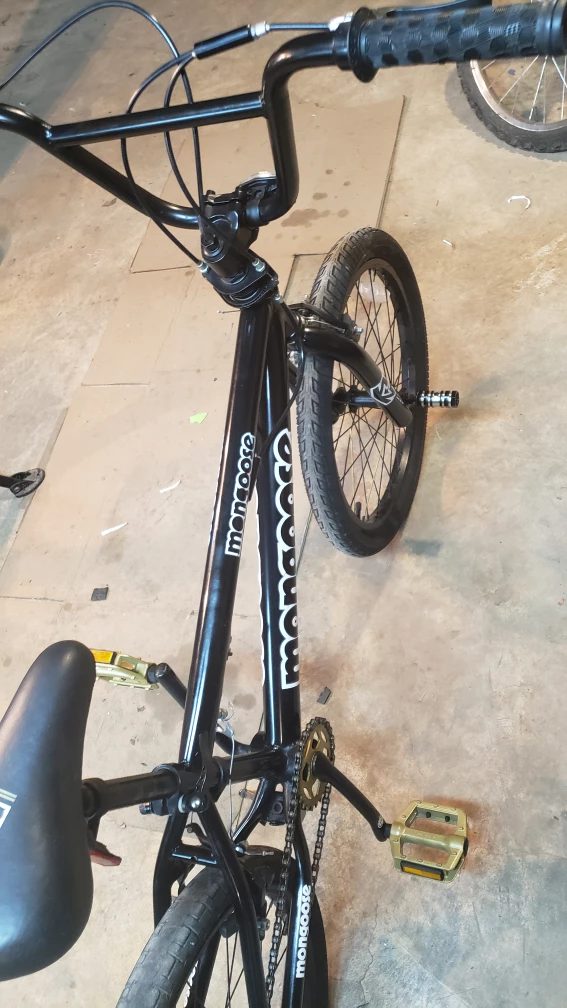 mongoose  20in  bike