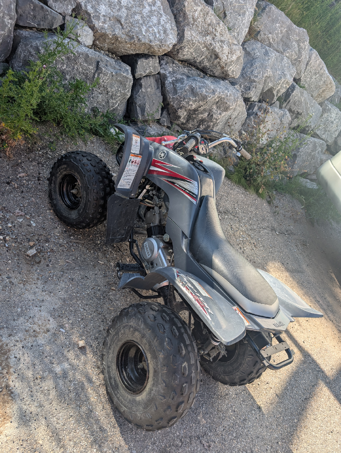 Yamaha Raptor 80 - photo 2