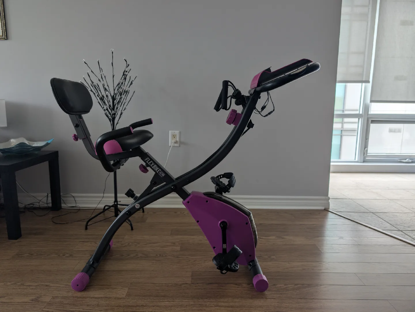 Flex Express Folding Exercise Bike 🥕🥕🥕