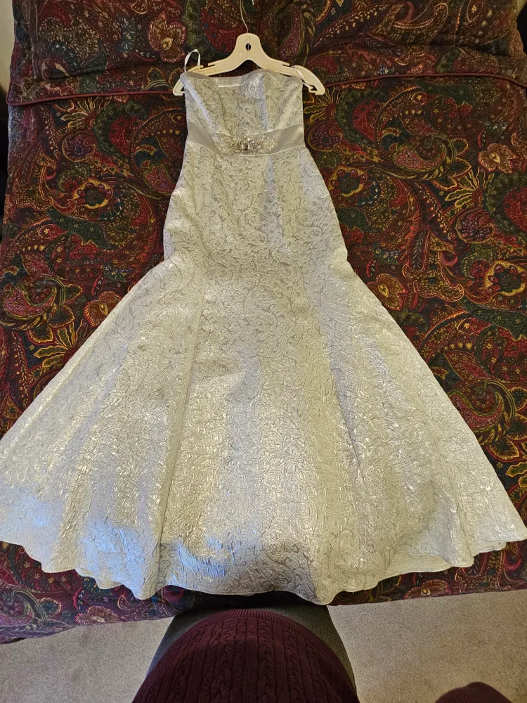 Strapless Silver Wedding Dress image indicator(4)