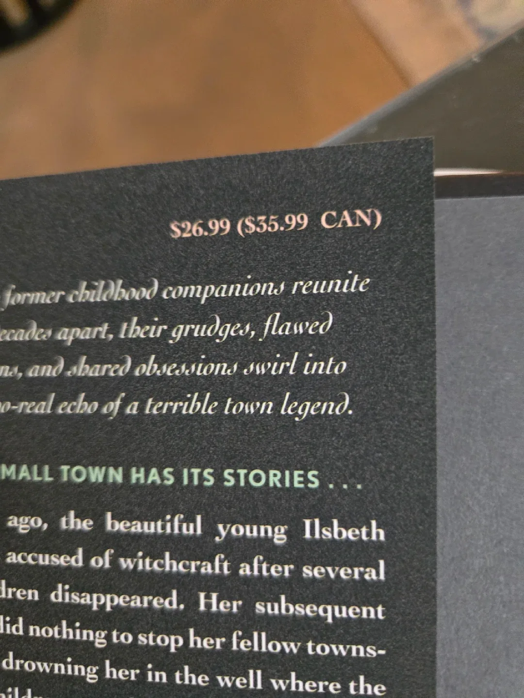 The Witch in the Well by Camilla Bruce image indicator(3)