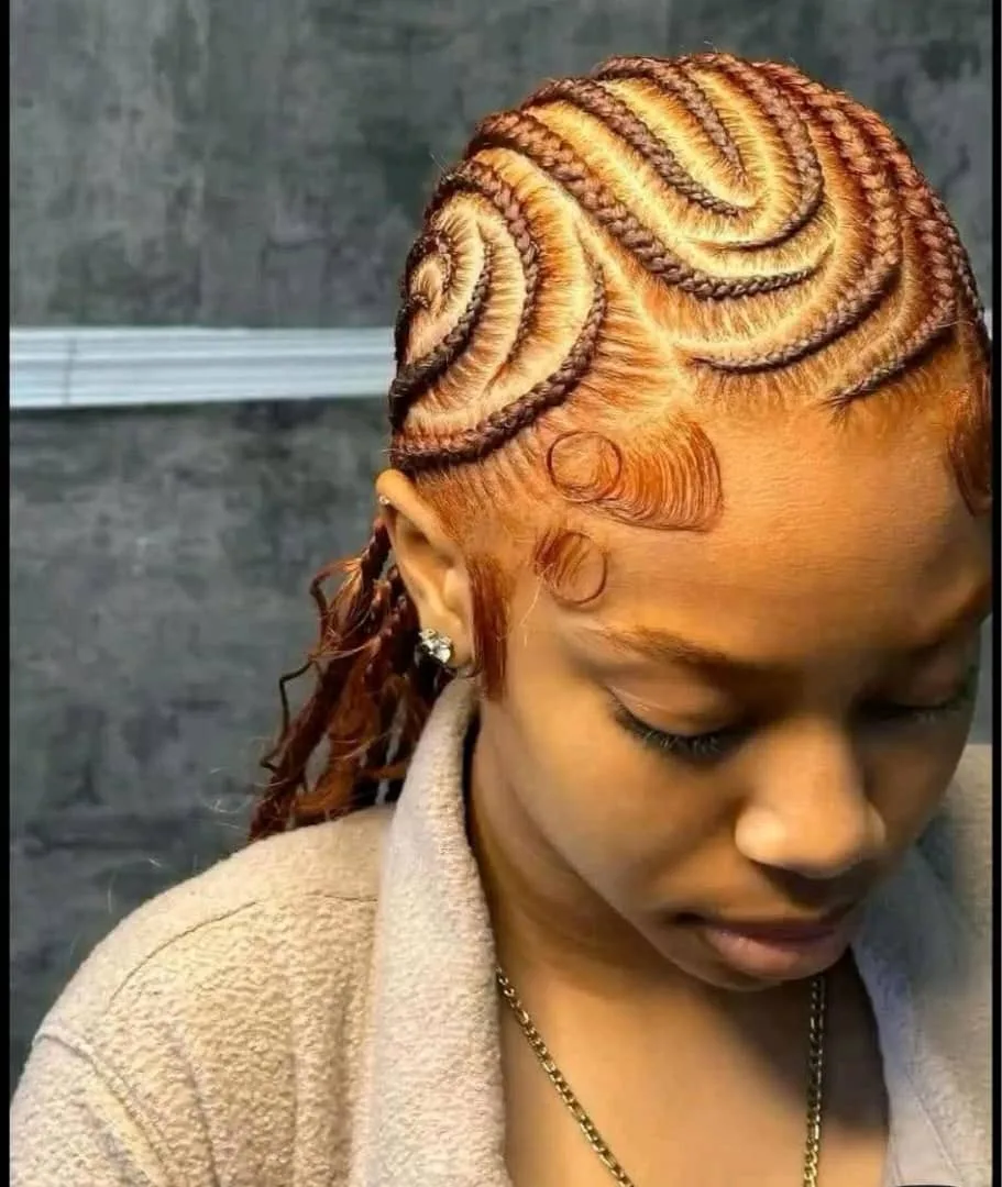 braid image indicator(6)