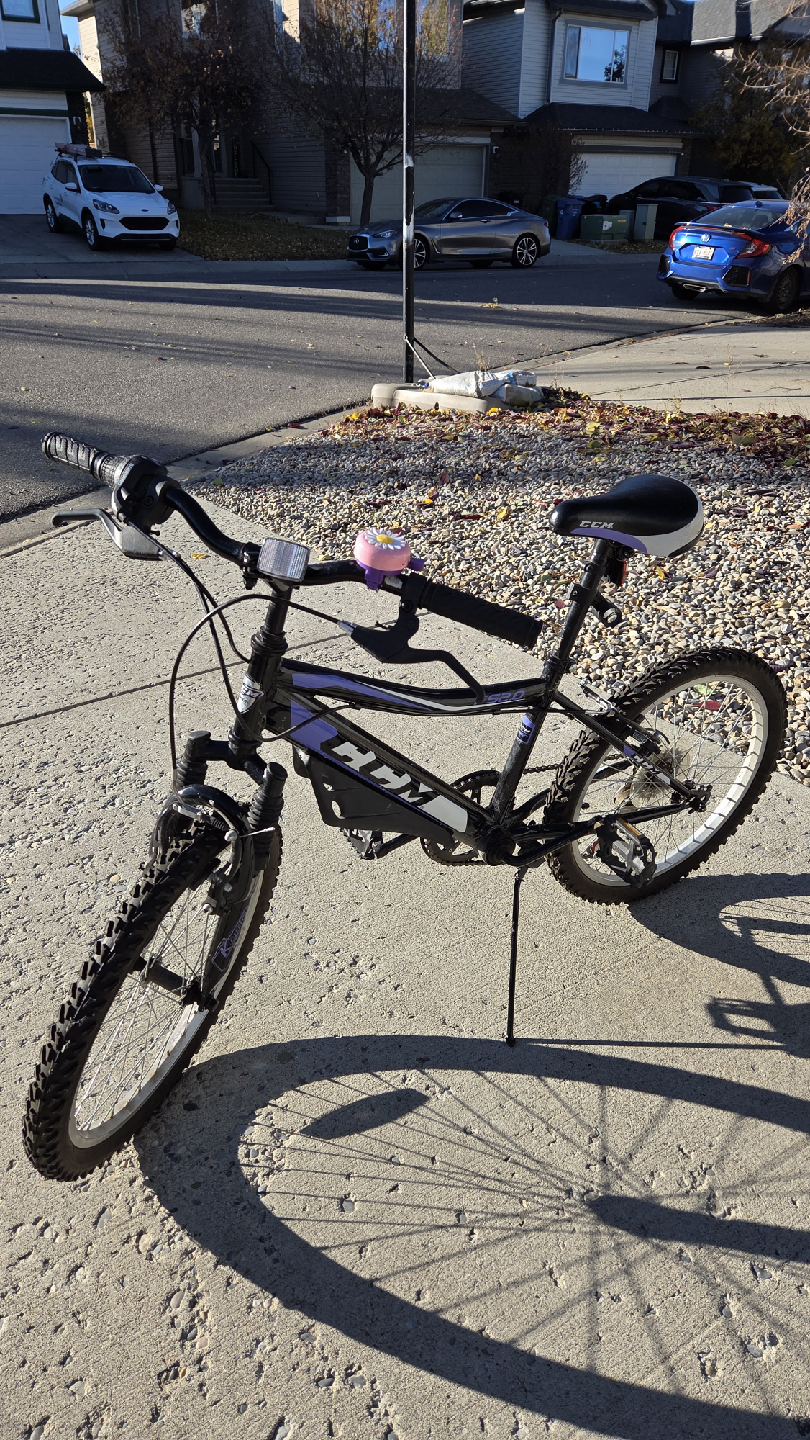 20" Girls 6-Speed CCM Bike
