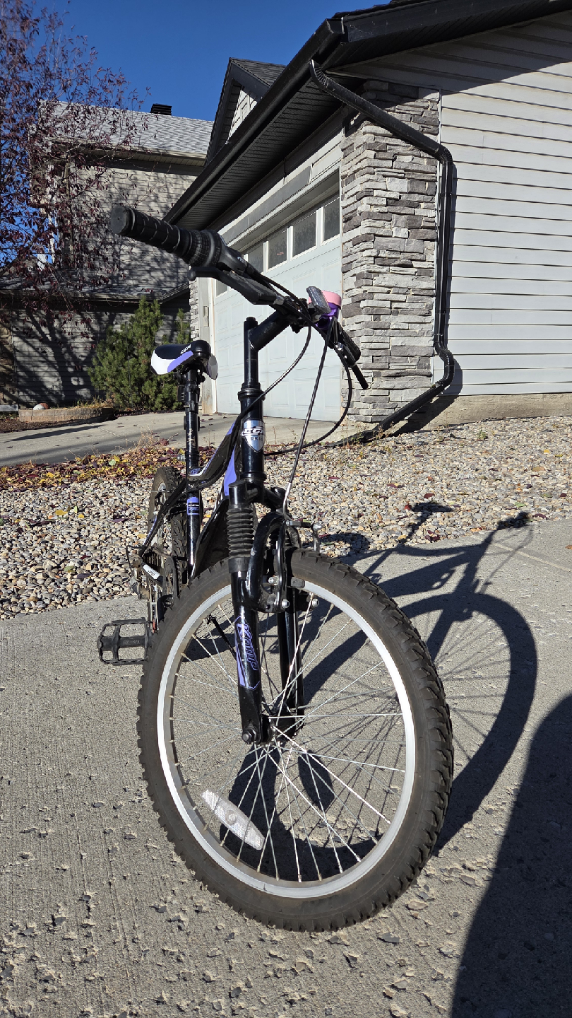20" Girls 6-Speed CCM Bike - photo 2