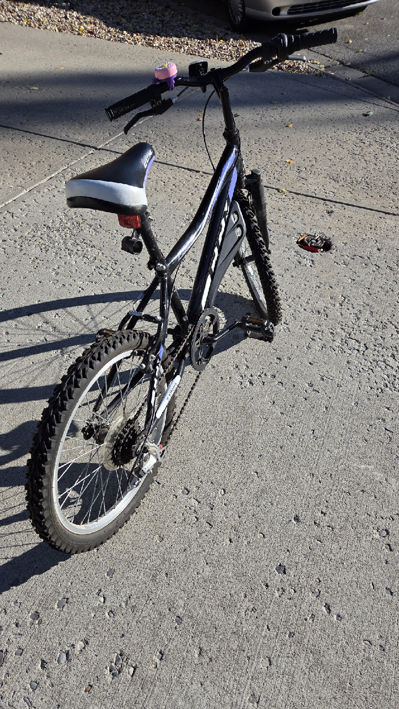 20" Girls 6-Speed CCM Bike - photo 3