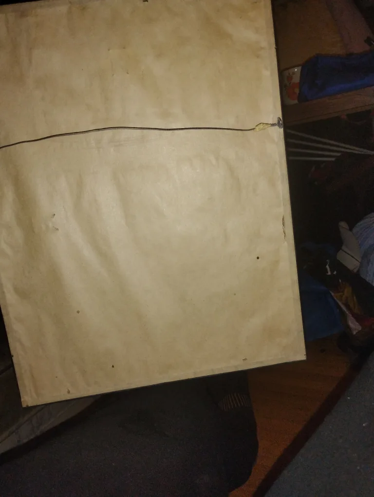 Framed Bear Print by Kyle N 2013 image indicator(2)