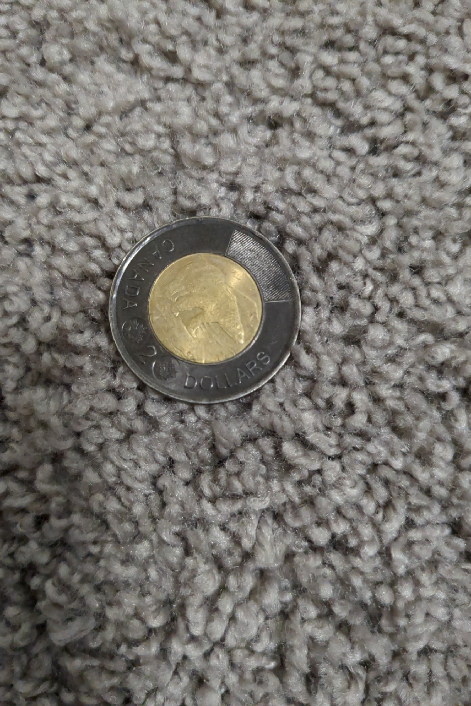 ONE black rim Canadian toonie. (Silver toonie is for comparison) - photo 4