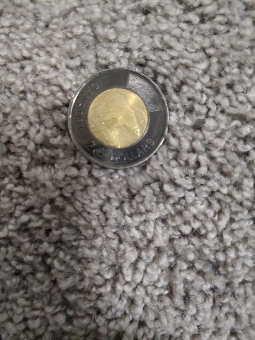 ONE black rim Canadian toonie. (Silver toonie is for comparison) - photo 5