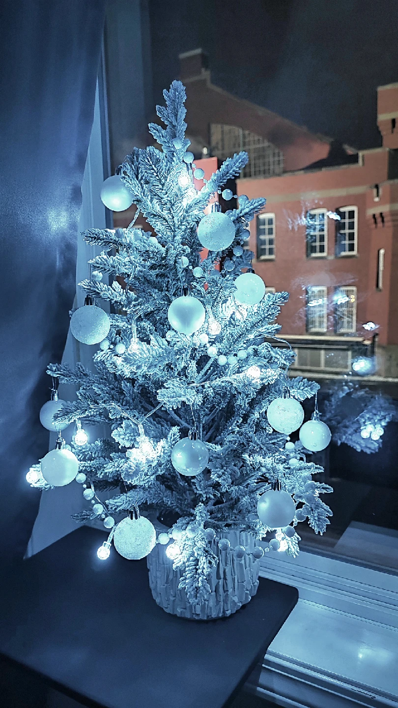 Small Decorated Christmas Tree
