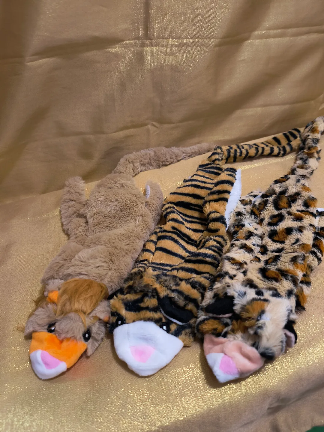 Set of 5 Dog Toys image indicator(3)