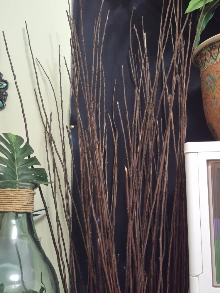 Decorative Birch Branches thumbnail