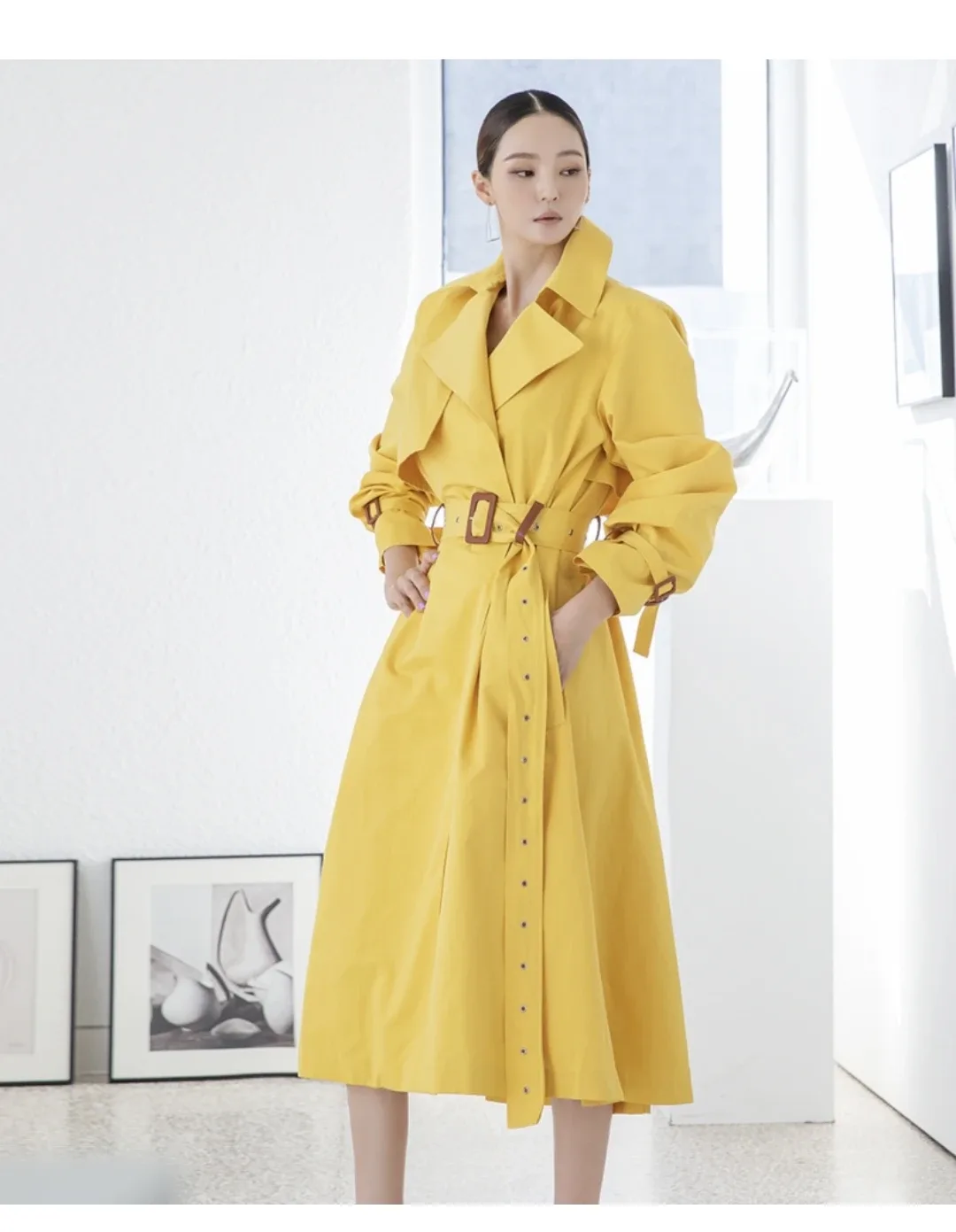 Dint Trench Coat - One Size image indicator(2)