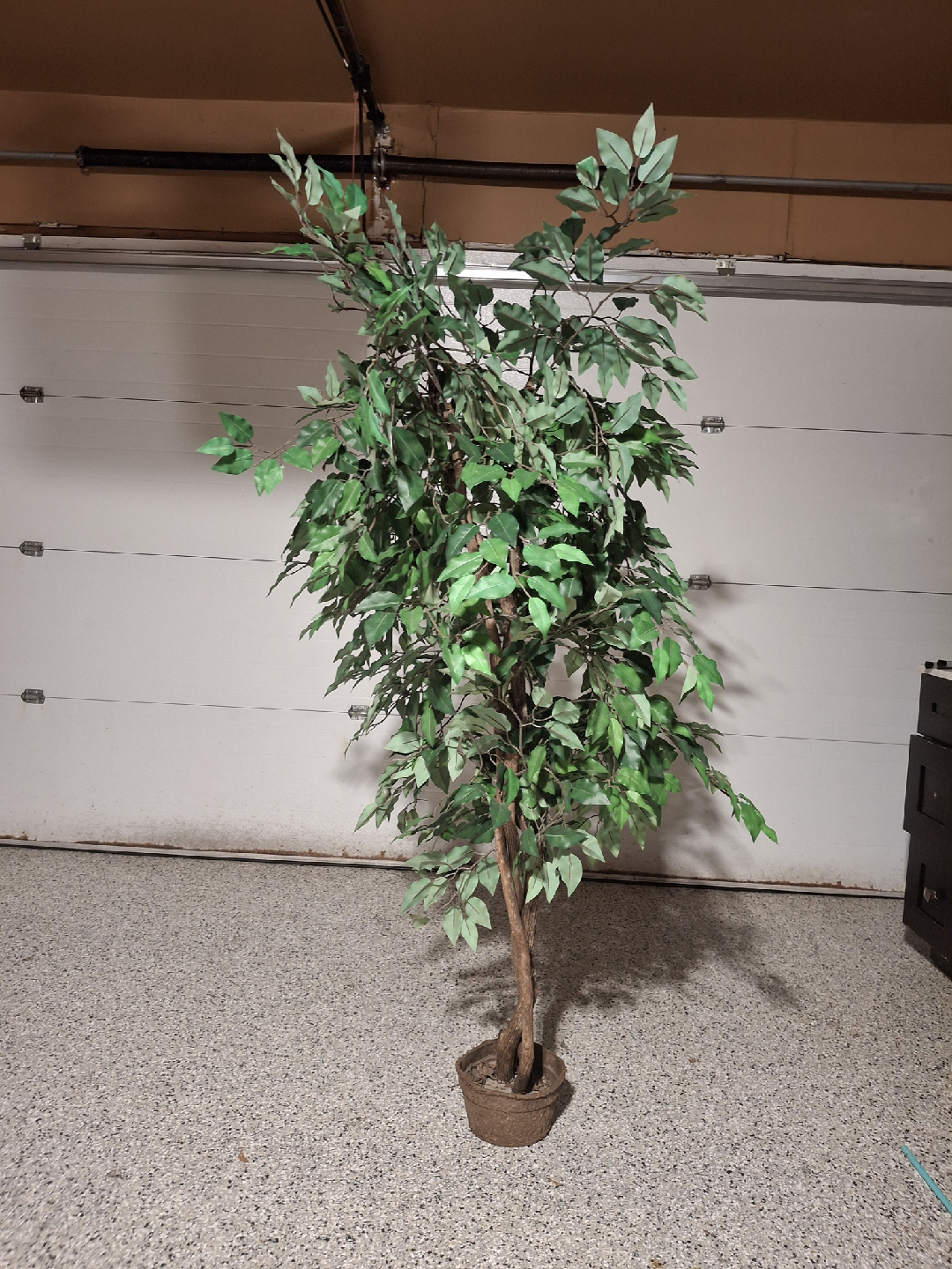 Artificial Ficus Tree - 6ft - sold - photo 2