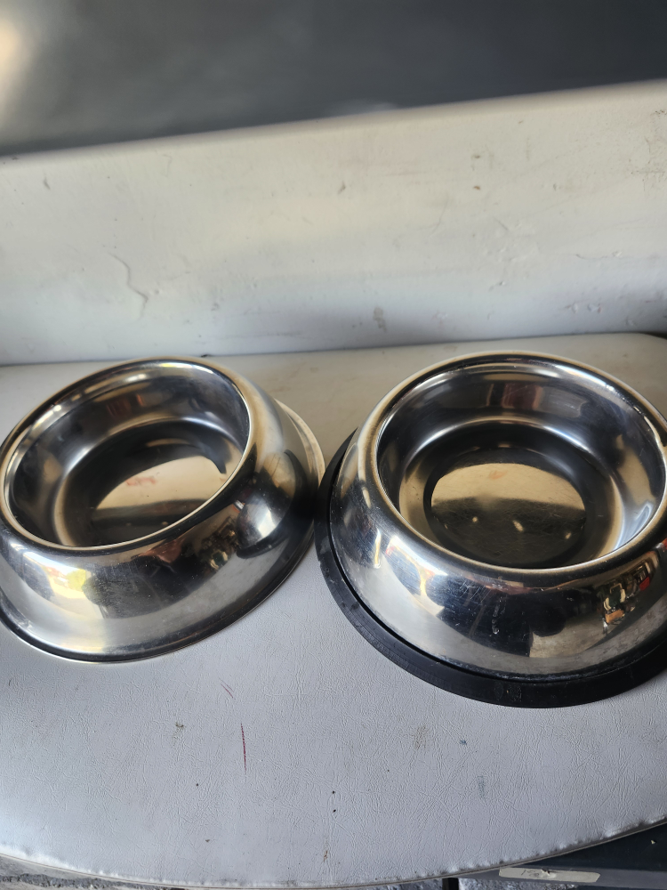 Stainless Steel Dog Bowls - Set of 2