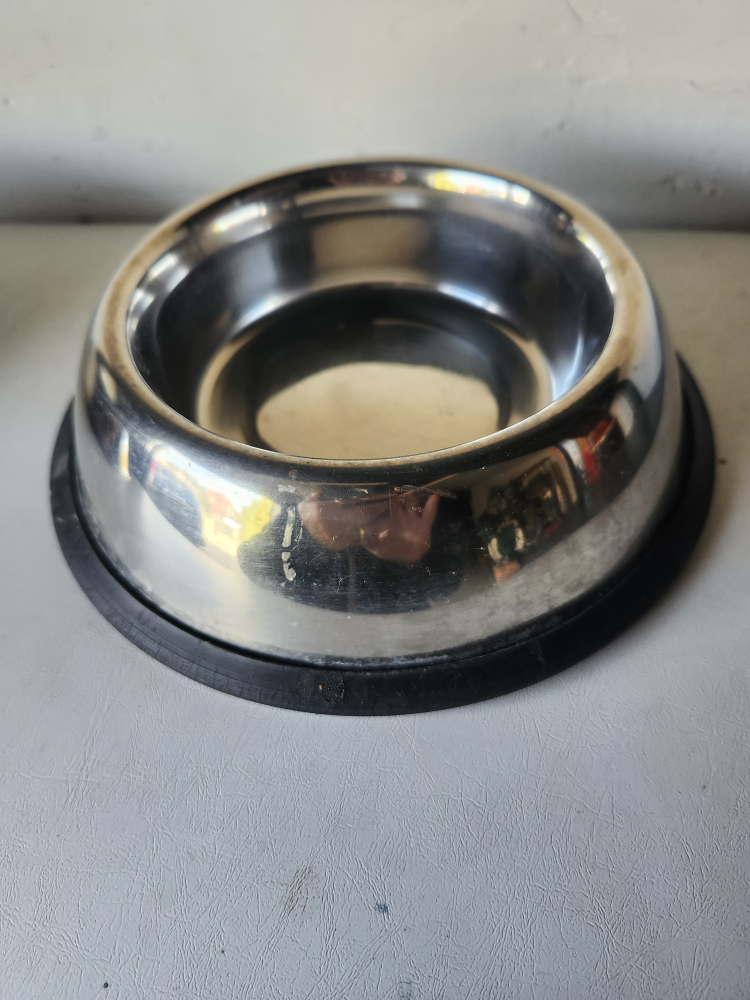 Stainless Steel Dog Bowls - Set of 2 - photo 2