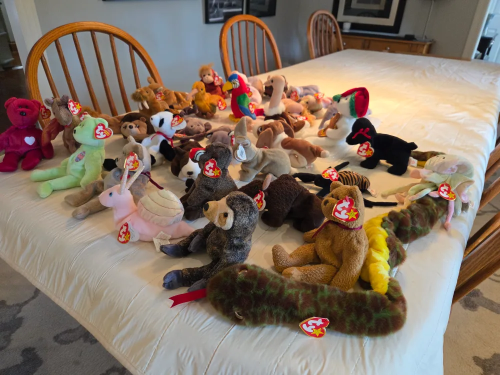 Beanie Babies Collection with tags image indicator(2)