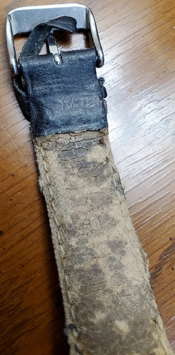 Louis Bolle Automatic Watch (Vintage) image indicator(8)