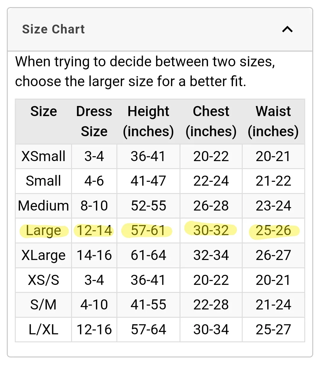 The Amazing Digital Circus - Pomni Costume Size Kids - Large image indicator(6)