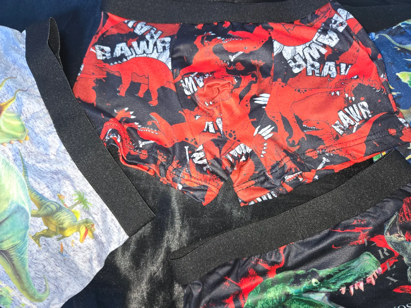 Dinosaur Print Boys Underwear - Size 4Y✨️🩲 image indicator(2)