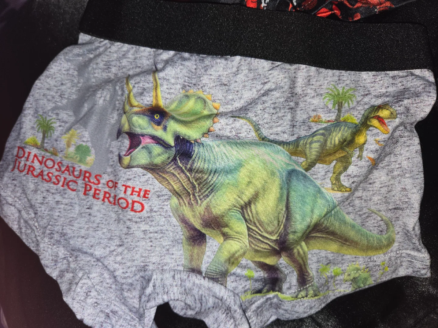 Dinosaur Print Boys Underwear - Size 4Y✨️🩲 image indicator(5)