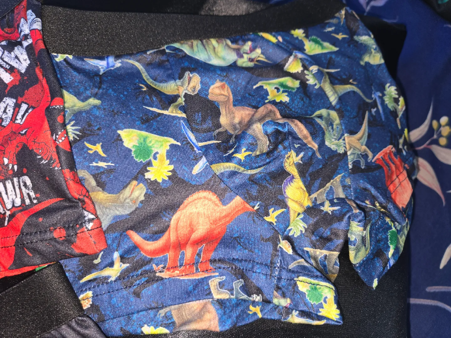 Dinosaur Print Boys Underwear - Size 4Y✨️🩲 image indicator(6)