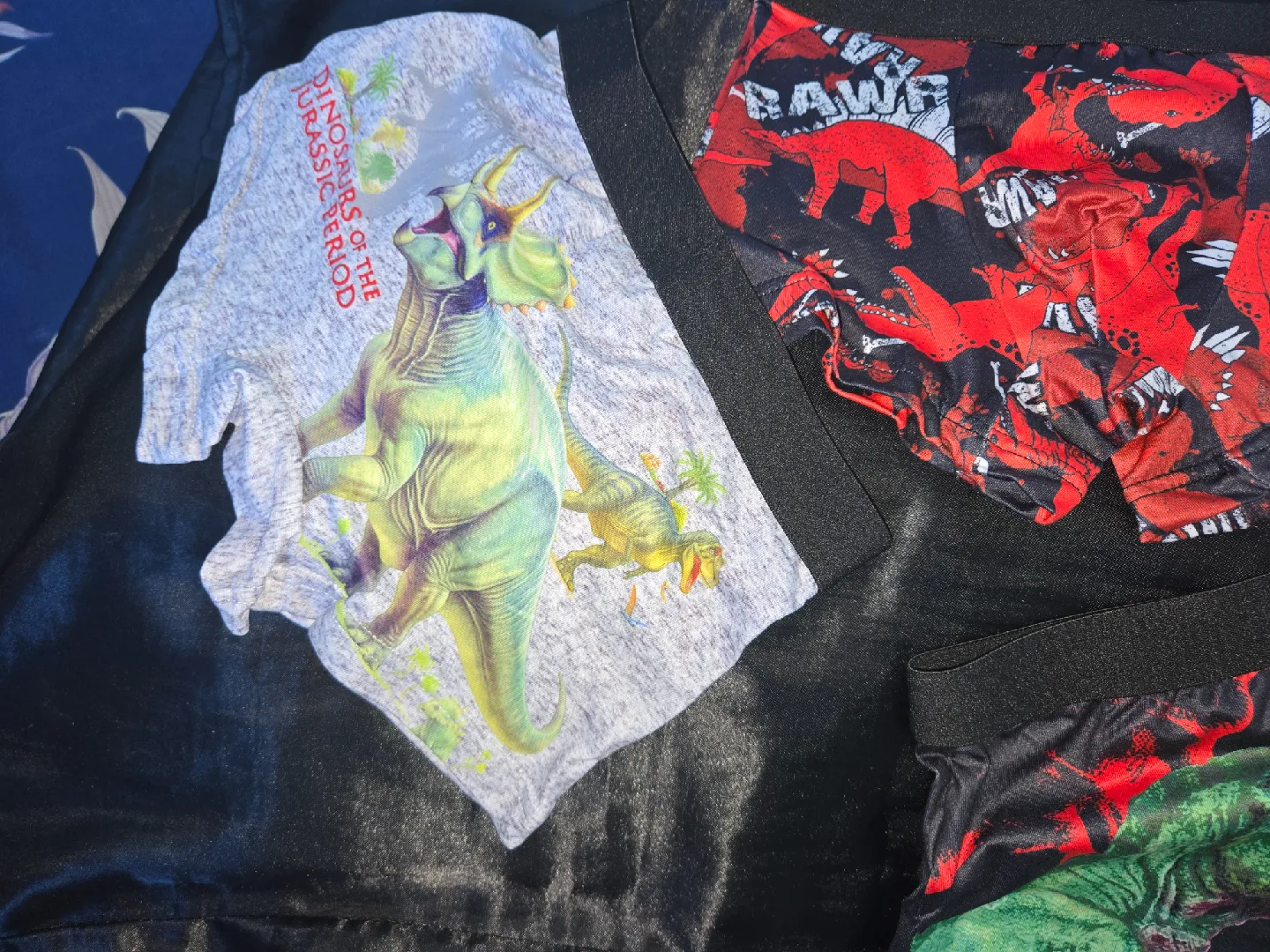 Dinosaur Print Boys Underwear - Size 4Y✨️🩲 image indicator(7)