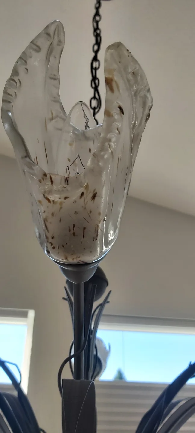 Wrought Iron Chandelier with Floral Shades image indicator(3)