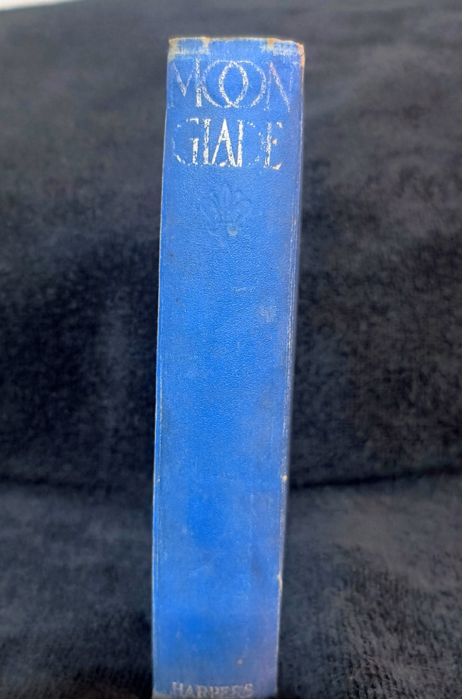 Moonglade: A Novel by the Author of The Martyrdom of an Empress - photo 2