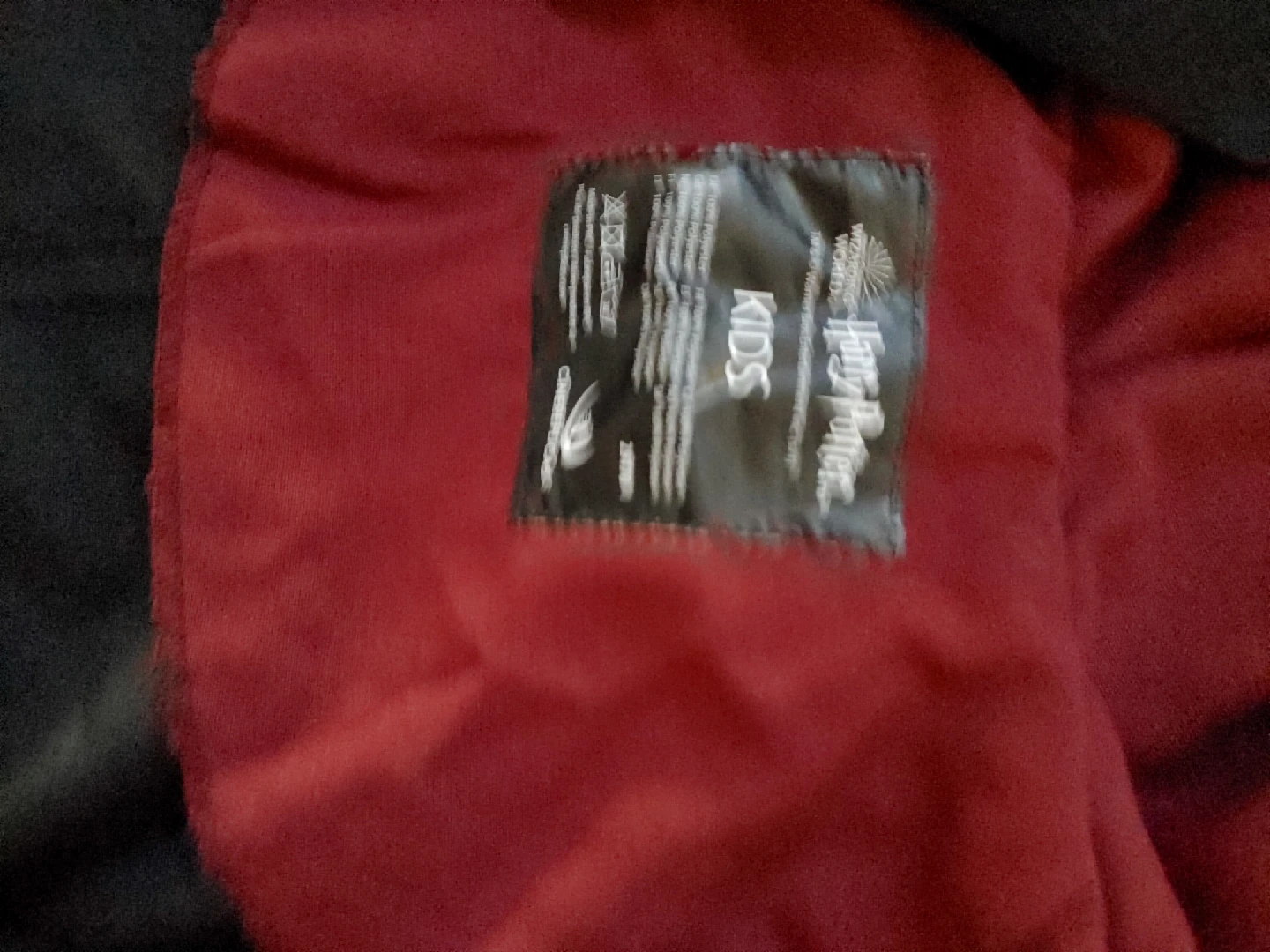 Harry Potter Kids Robe (for all ages really) $65 - photo 3