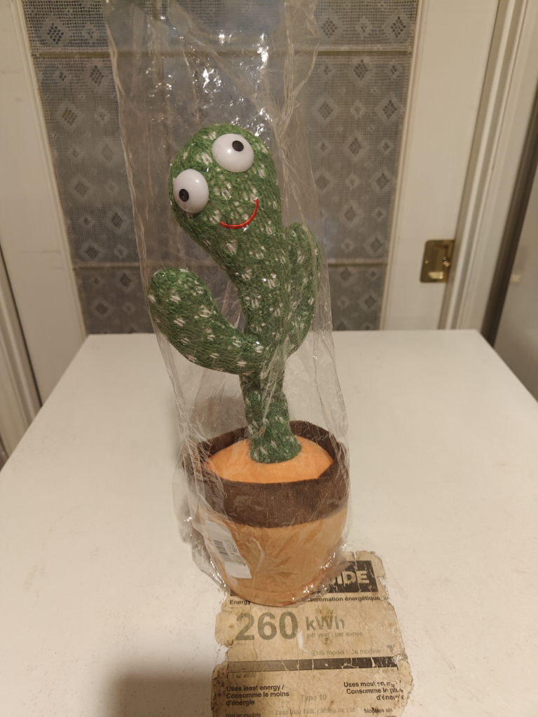 Dancing Cactus Toy