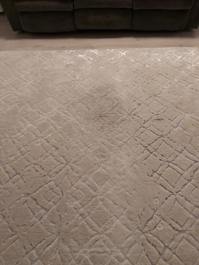 Area rug image indicator(8)