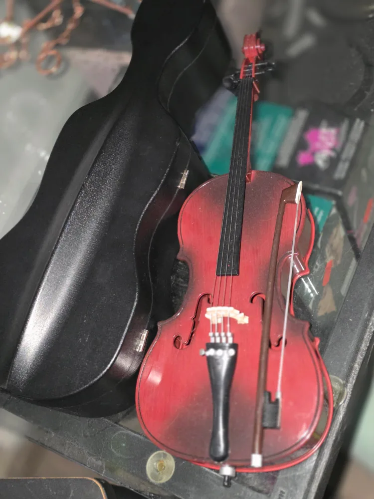 Miniature Cello with Case image indicator(2)