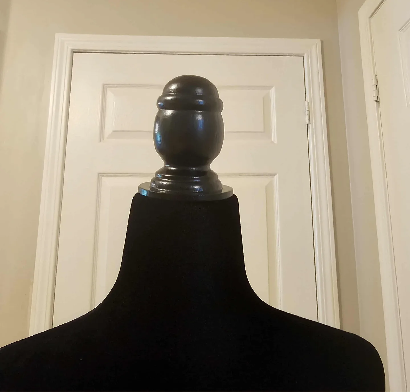 Black Women's Female Form Velvet Adjustable Mannequin image indicator(4)