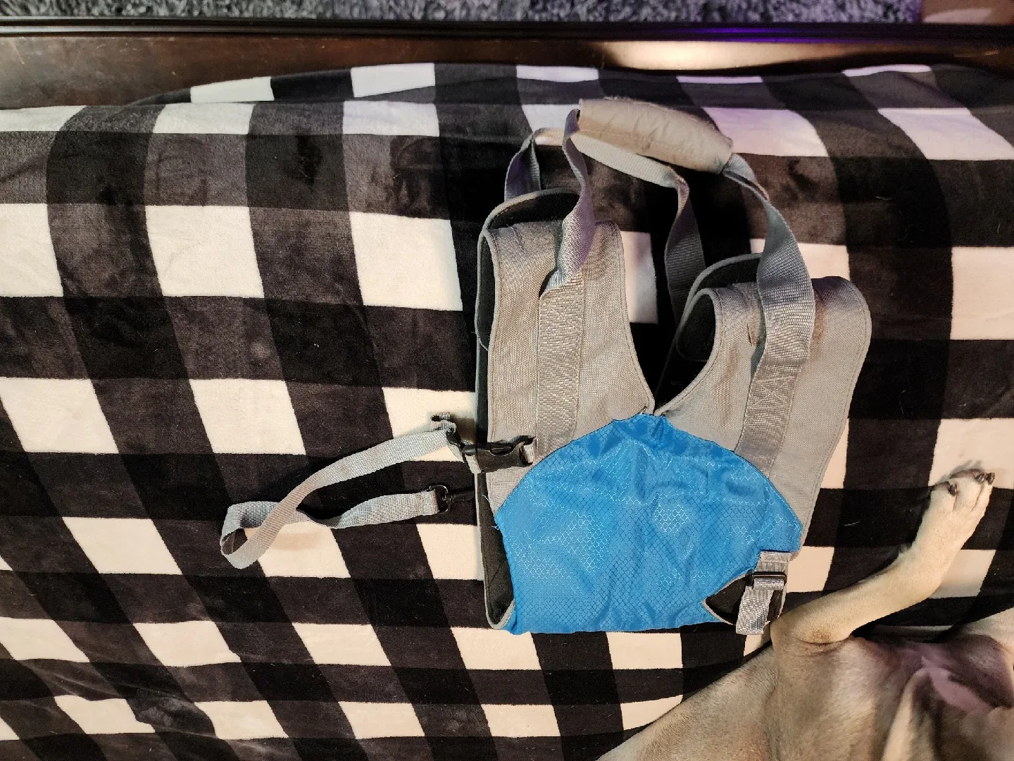 Kurgo up and about dog lifter image indicator(2)