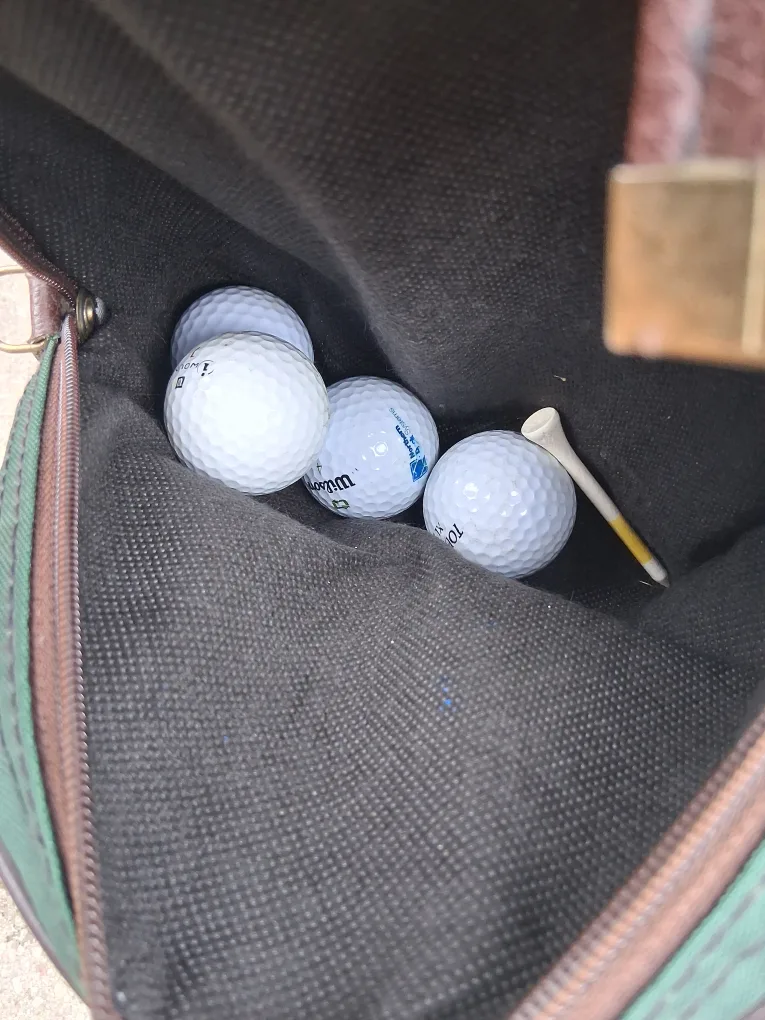 golf bag with clubs image indicator(7)