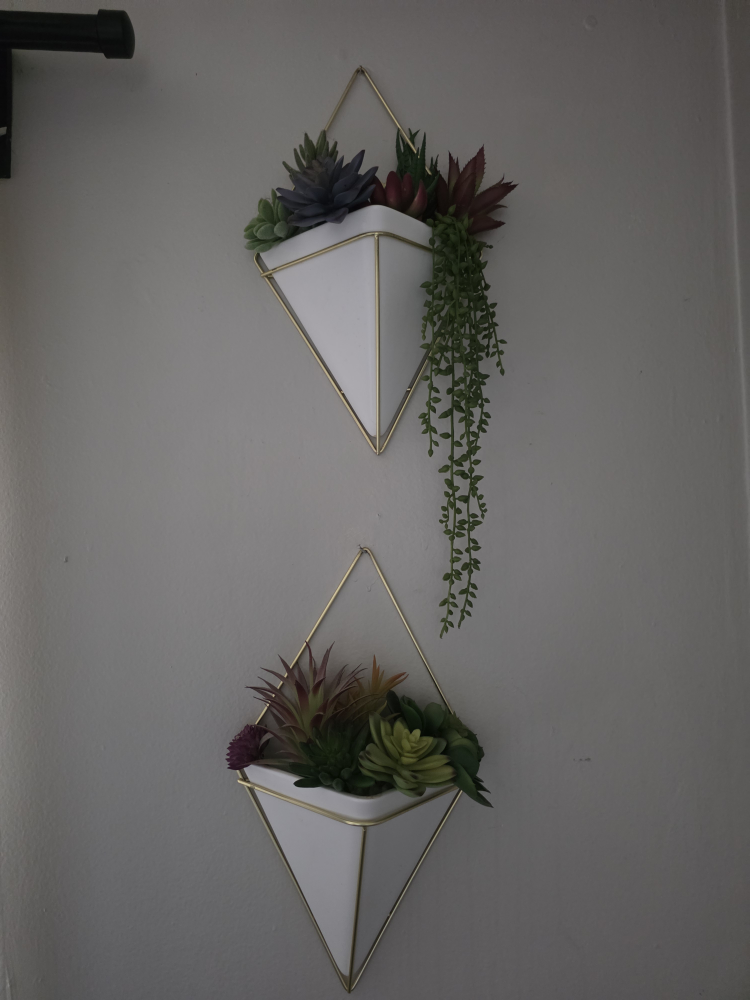 Umbra Wall Planters - White & Gold, Set of 2
