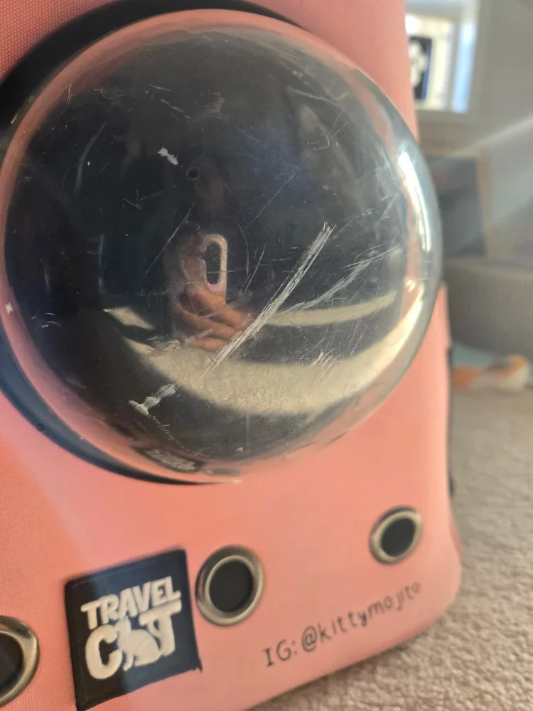 Travel Cat Pink Cat Bubble Backpack image indicator(2)