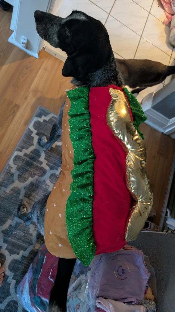 Hamburger Hotdog Dog Costume - Size XL - photo 2
