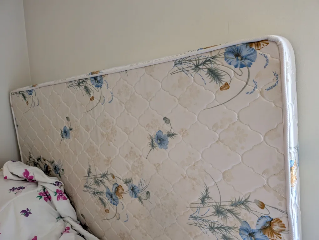 Dream & Lassic Queen Mattress - BR DR Hard image indicator(3)