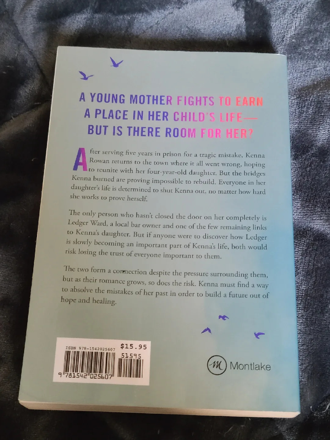 Reminders of Him by Colleen Hoover image indicator(2)