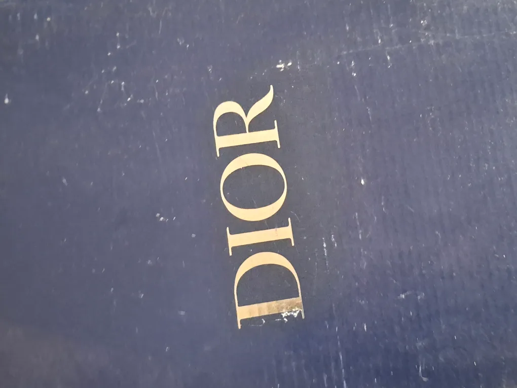 Dior B22 Sneaker image indicator(5)