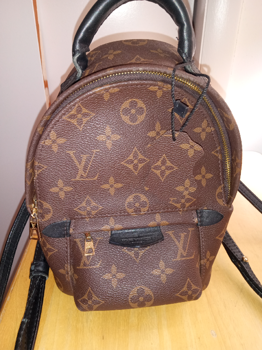 Louis Vuitton Palm Springs Mini Backpack - photo 4